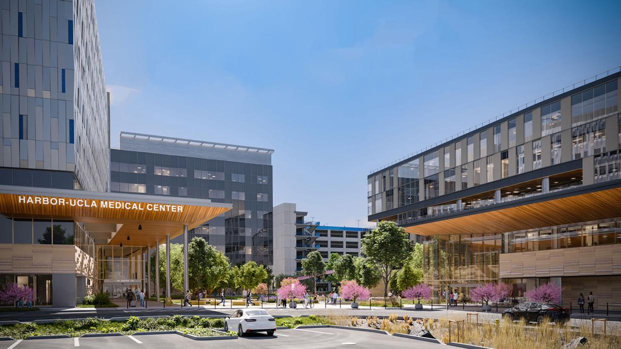 Harbor-UCLA Medical Center Replacement Program in Torrance, California.